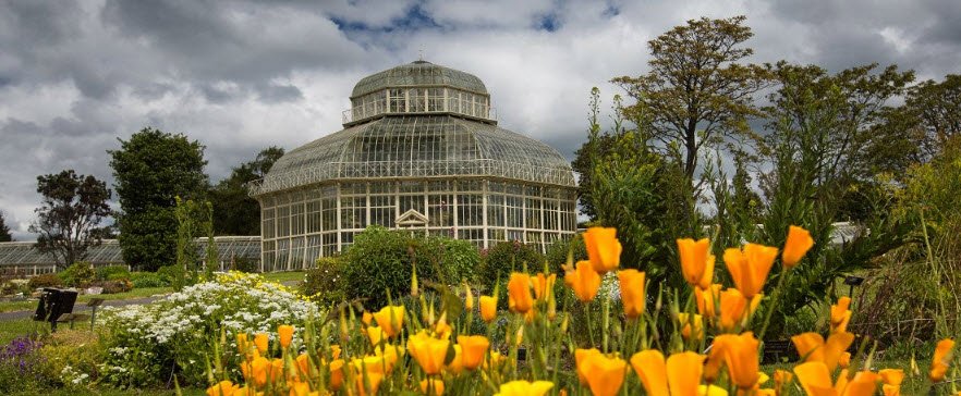 National Botanic Gardens, Ireland